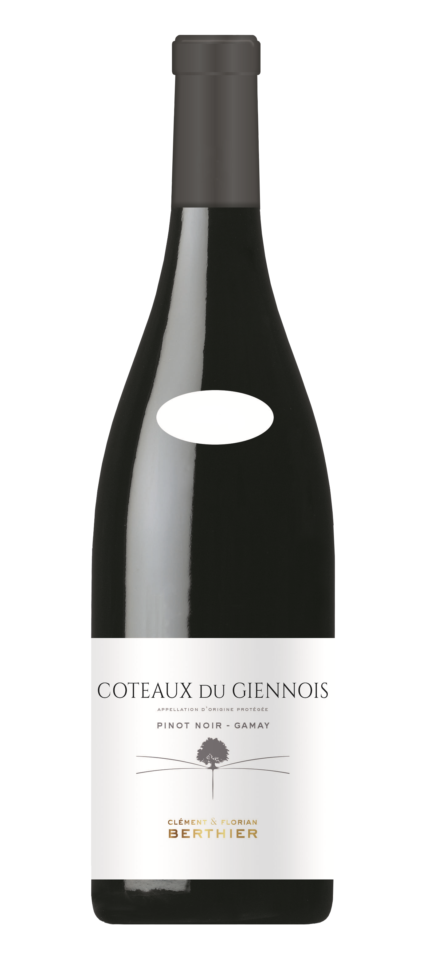 Vignobles Berthier, COTEAUX DU GIENNOIS CLEMENT & FLORIAN BERTHIER