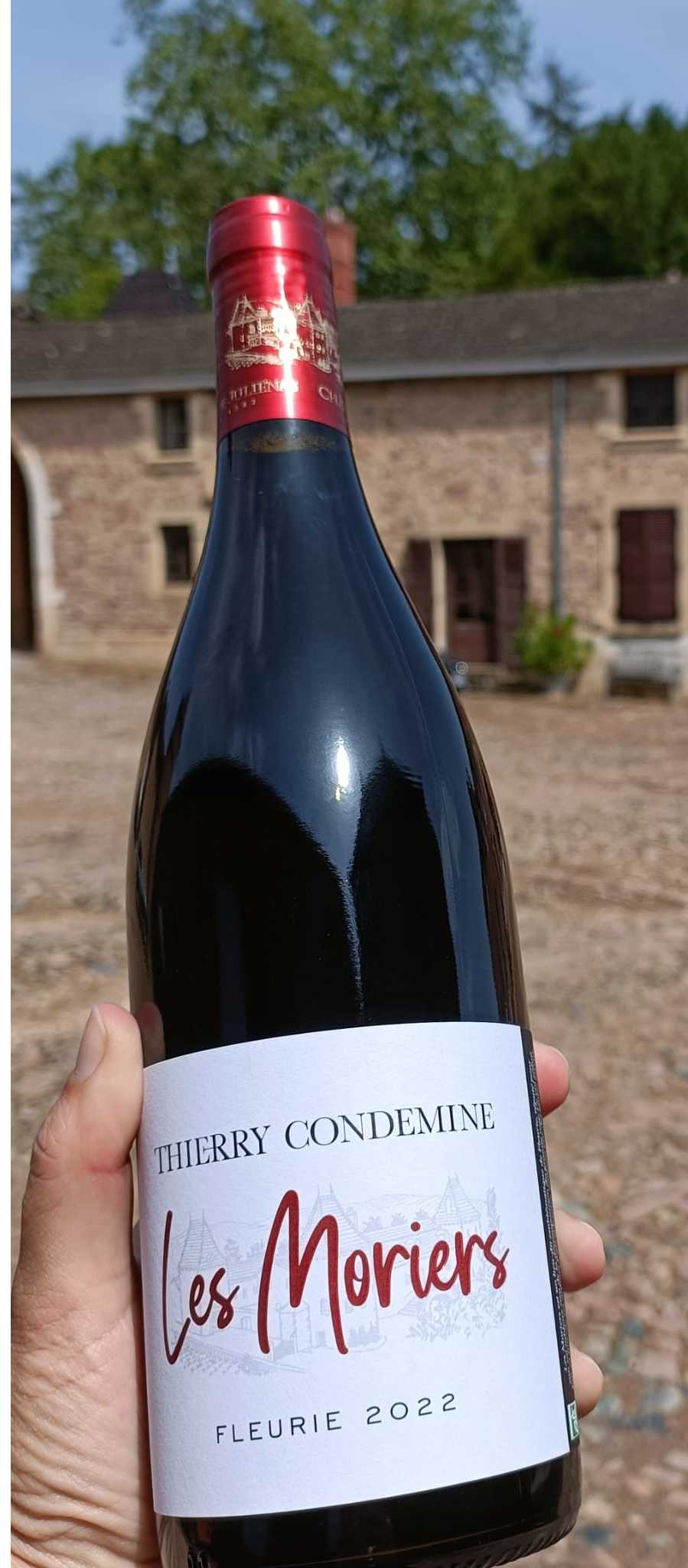 Château de Juliénas, Château Juliénas Les Moriers