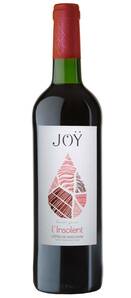 Domaine de Joy - L’Insolent - Rouge - 2022