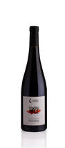 Vignobles ENGEL - Pinot Noir Lieu-Dit Bocksberg - Rouge - 2020