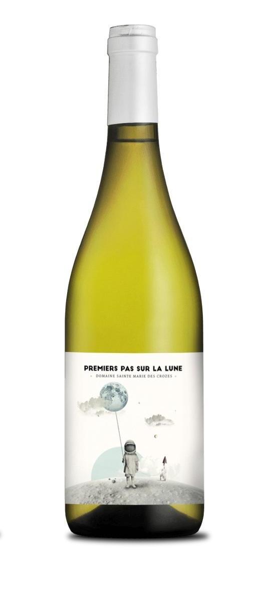 Premiers Pas sur la Lune