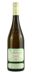 Domaine de Terrebrune - Anjou Sélection chenin Domaine Terrebrune - Blanc - 2022