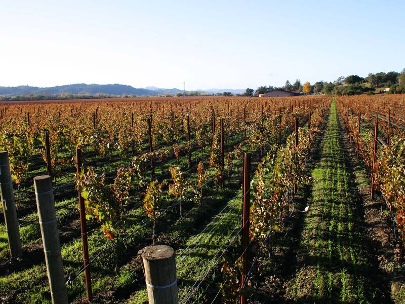 Vignobles Chéneau