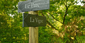 Domaine du Closel(Loire) : Visite & Dégustation Vin
