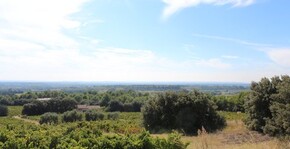 Le Rocher des Dames(Vallée du Rhône) : Visite & Dégustation Vin