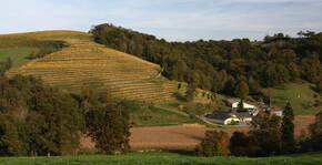Domaine Castera(Sud-Ouest) : Visite & Dégustation Vin