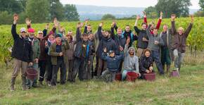 Domaine Lambert(Loire) : Visite & Dégustation Vin