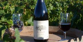 Domaine Christophe et Daniel Rampon(Beaujolais) : Visite & Dégustation Vin