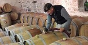 Château Les Maubats(Bordeaux) : Visite & Dégustation Vin