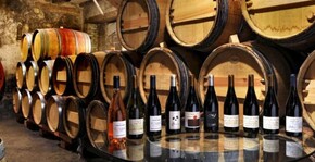 la gamme des vins du domaine présentée dans la cave de dégustation