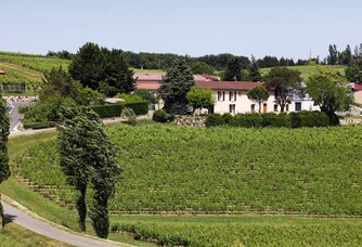 Domaine Vayssette - Le vignoble et la maison