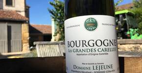 Domaine Lejeune(Bourgogne) : Visite & Dégustation Vin