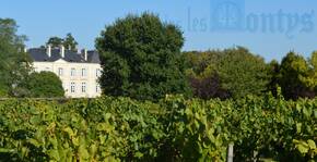 Domaine Jérémie Huchet(Loire) : Visite & Dégustation Vin