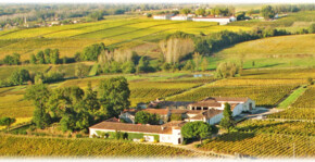 Château Lamothe(Bordeaux) : Visite & Dégustation Vin