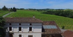 Château Maresque(Sud-Ouest) : Visite & Dégustation Vin