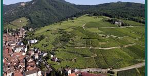 Domaine Ostermann André et Fils(Alsace) : Visite & Dégustation Vin