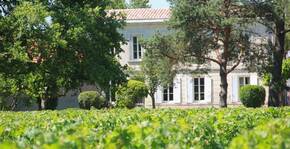 CHATEAU BAUDAN(Bordeaux) : Visite & Dégustation Vin