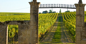 Clos Haut-Peyraguey(Bordeaux) : Visite & Dégustation Vin