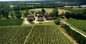 Château Garreau - Le vignoble du domaine