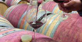 La Coume-Lumet(Languedoc) : Visite & Dégustation Vin