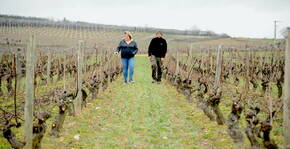 Domaine de Prapin(Beaujolais) : Visite & Dégustation Vin