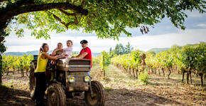 Domaine la paganie(Sud-Ouest) : Visite & Dégustation Vin