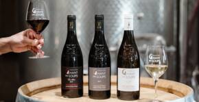 Domaine Chant des Loups(Vallée du Rhône) : Visite & Dégustation Vin