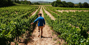 Domaine de la Dourbie(Languedoc) : Visite & Dégustation Vin