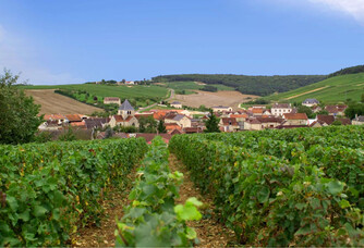 Vue sur le village depuis les vignes du champagne Gremillet