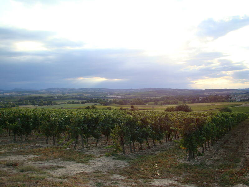 Château Guilhem