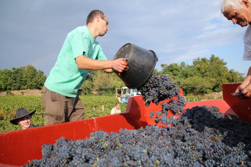 Domaine de Champ-Fleury